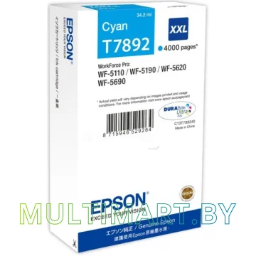 Картридж Epson C13T789240